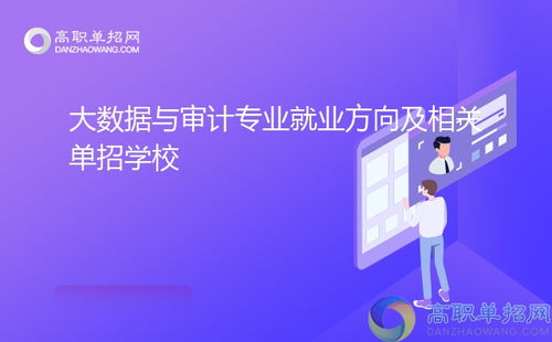 大數(shù)據(jù)與審計(jì)專(zhuān)業(yè)就業(yè)方向及相關(guān)單招學(xué)校技術(shù)服務(wù)